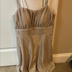 Elegant Shimmer Evening Dress